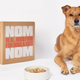 50% Off Two Week Trial | Nom Nom